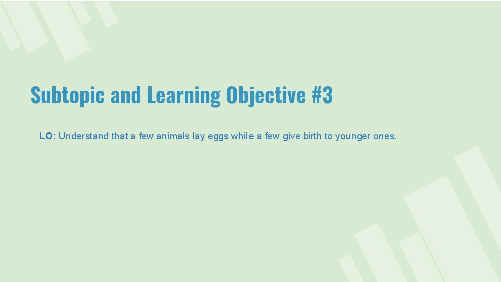 Teaching Material for Class 4 EVS – NCERT CBSE Handbook for Teachers