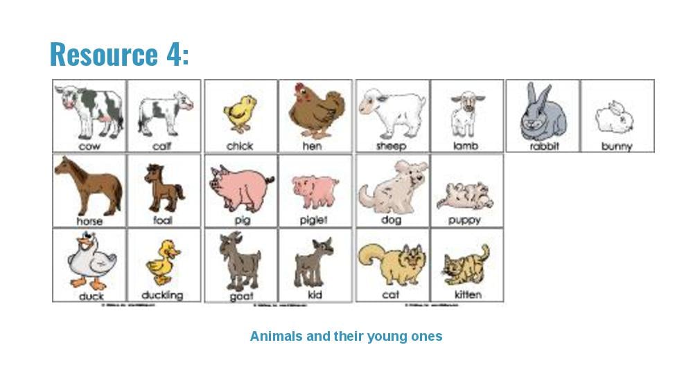 Teaching Material for Class 4 EVS – NCERT CBSE Handbook for Teachers