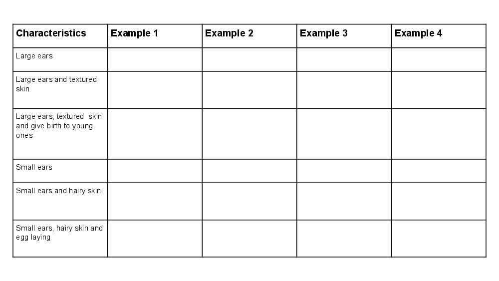 Teaching Material for Class 4 EVS – NCERT CBSE Handbook for Teachers