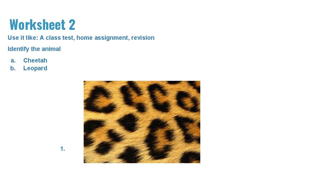 Teaching Material for Class 4 EVS – NCERT CBSE Handbook for Teachers