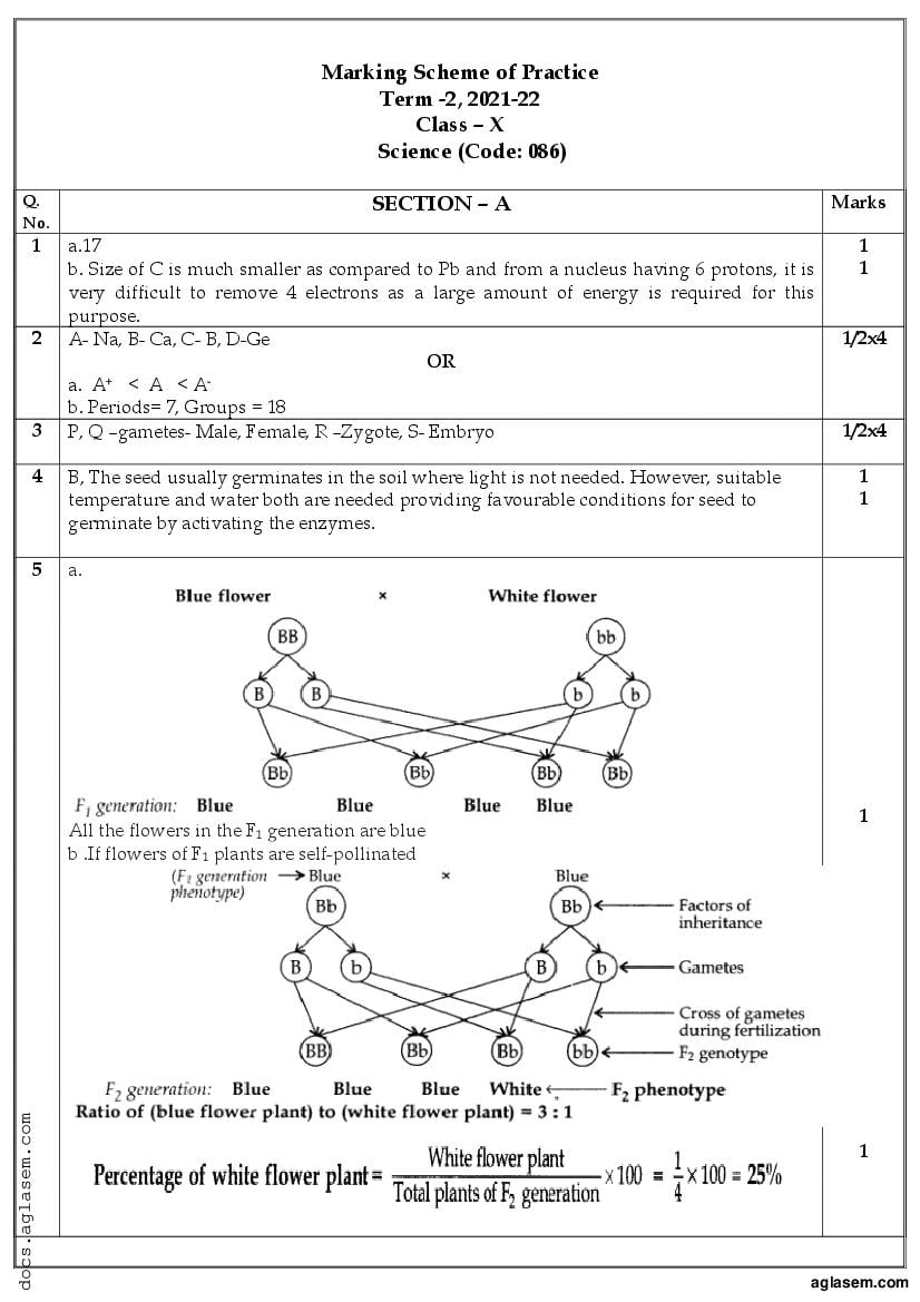 Class 10 Sample Paper 2022 Solution Science Term 2 - Page 1