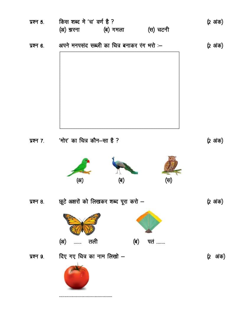 CG Board Class 1 Hindi Question Paper (PDF) CGBSE 1st Question Paper