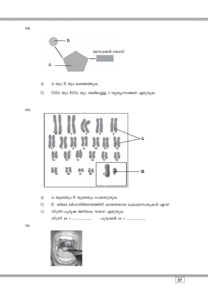 Kerala SSLC Biology (Malayalam Medium) Question Pool (PDF)