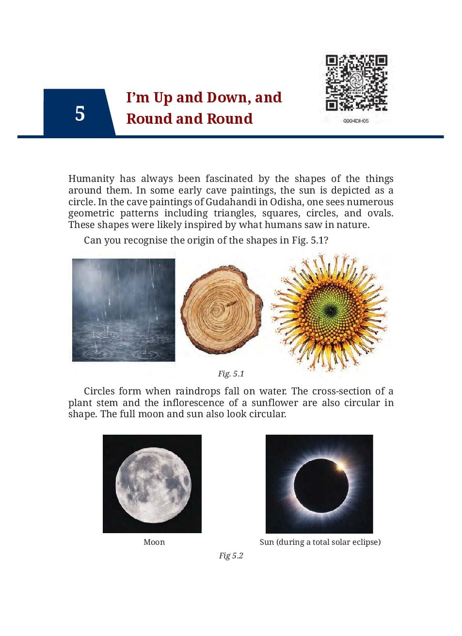 NCERT Book Class 9 Mathematics Chapter 5 I'm Up and Down, and Round and Round - Page 1 of 26