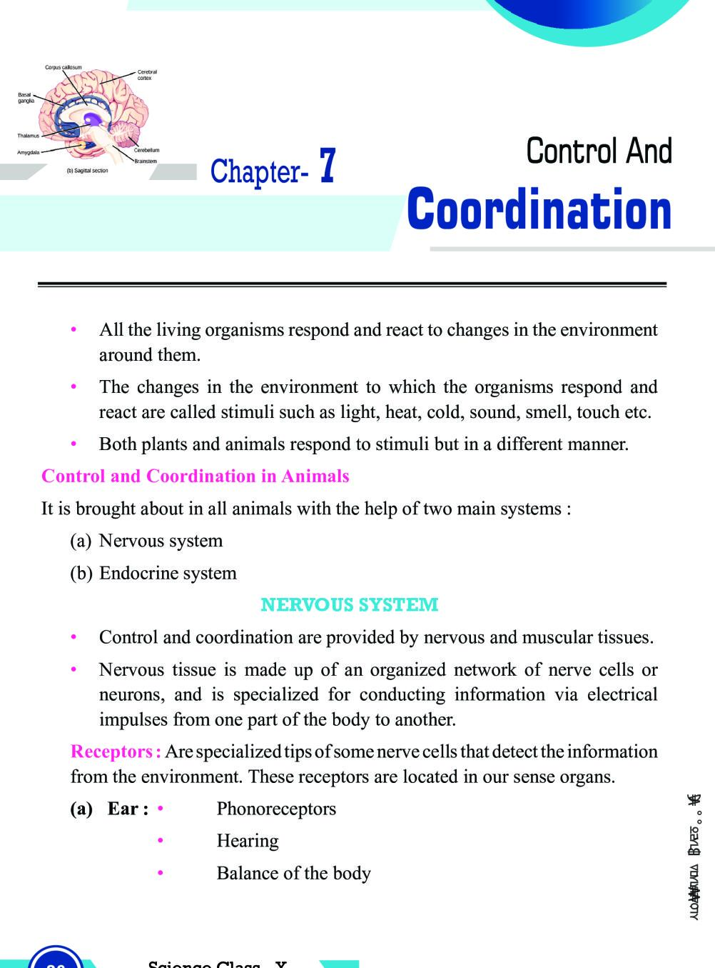 Class 10 Science Control And Coordination Notes Important Questions 