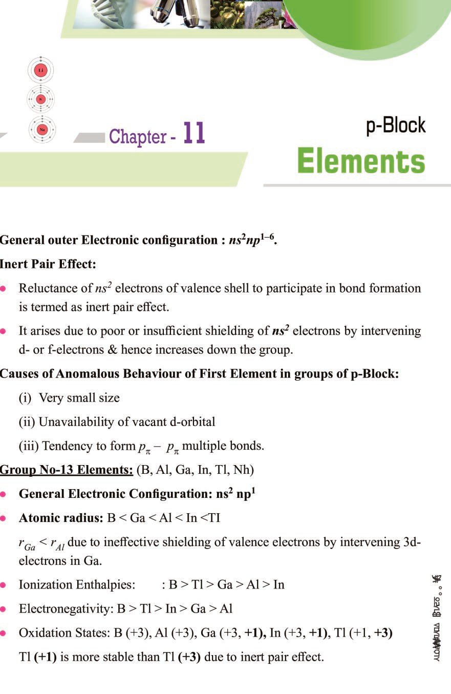 p-block-elements-class-11-notes-pdf-p