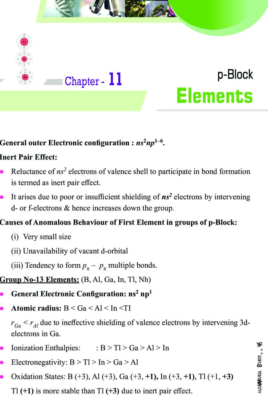 P Block Elements Class 11 Notes PDF P 