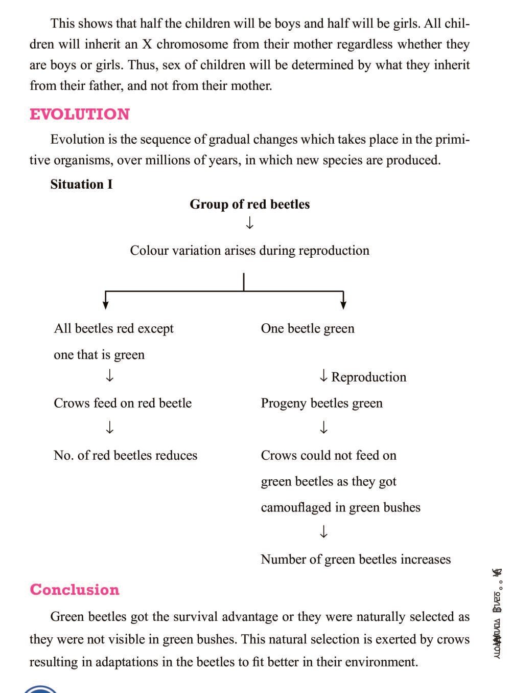 Class 10 Science Heredity And Evolution Notes All Important Notes 0987