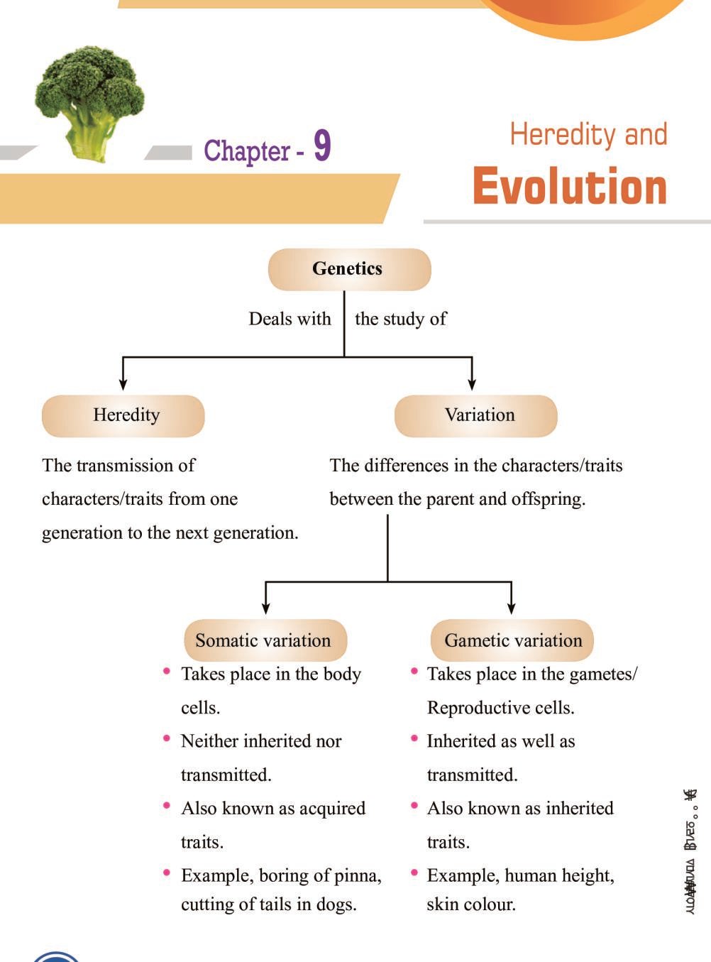 case study heredity and evolution class 10