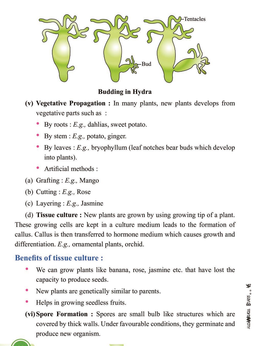 assignment on how do organisms reproduce class 10