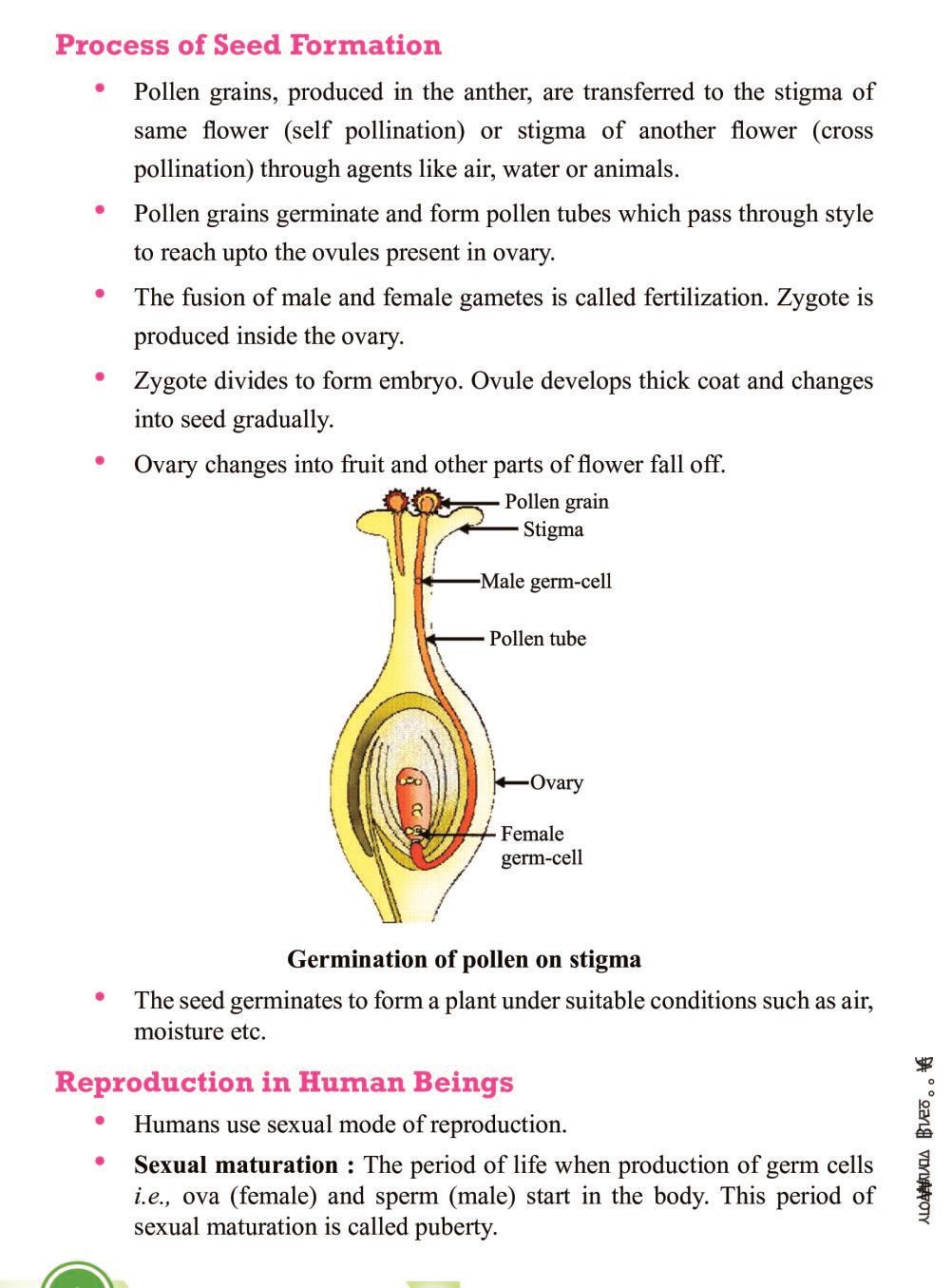 Class 10 Science How do Organisms Reproduce Notes, Important Questions &  Practice Paper