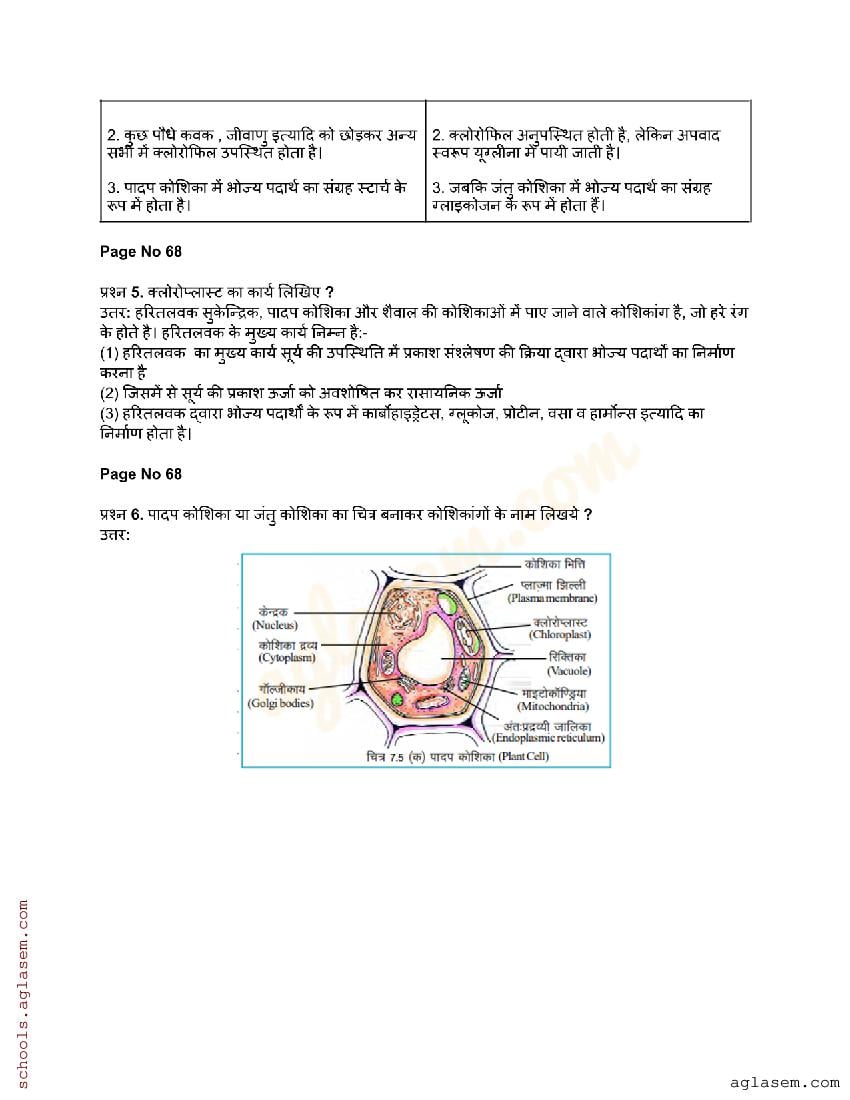 Cgbse Solutions For Class 8 Science Chapter 7 शरीर की रचनात्मक एवं कार्यात्मक इकाई कोशिका Aglasem