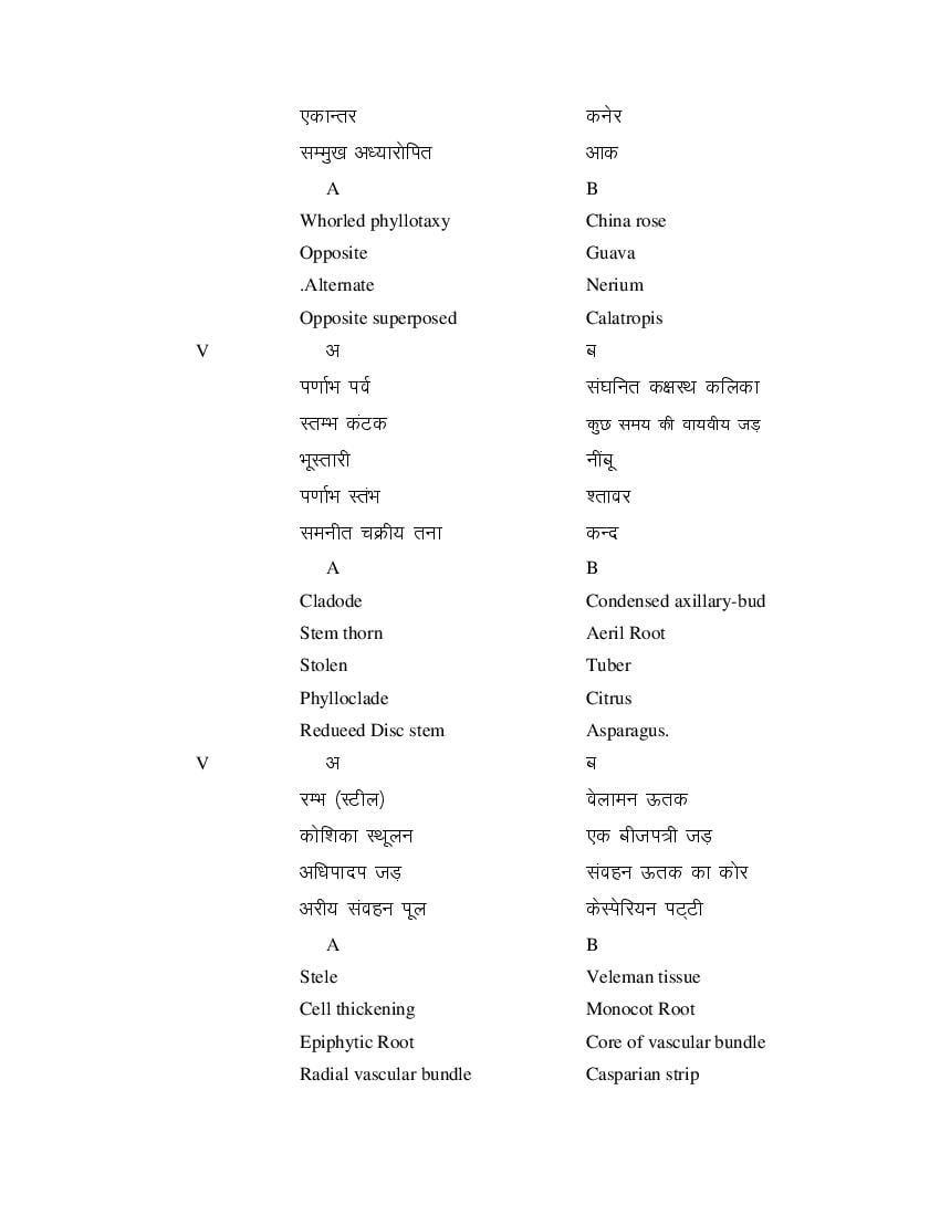 MP Board Class 11 Biology Question Bank (PDF) – Important Questions