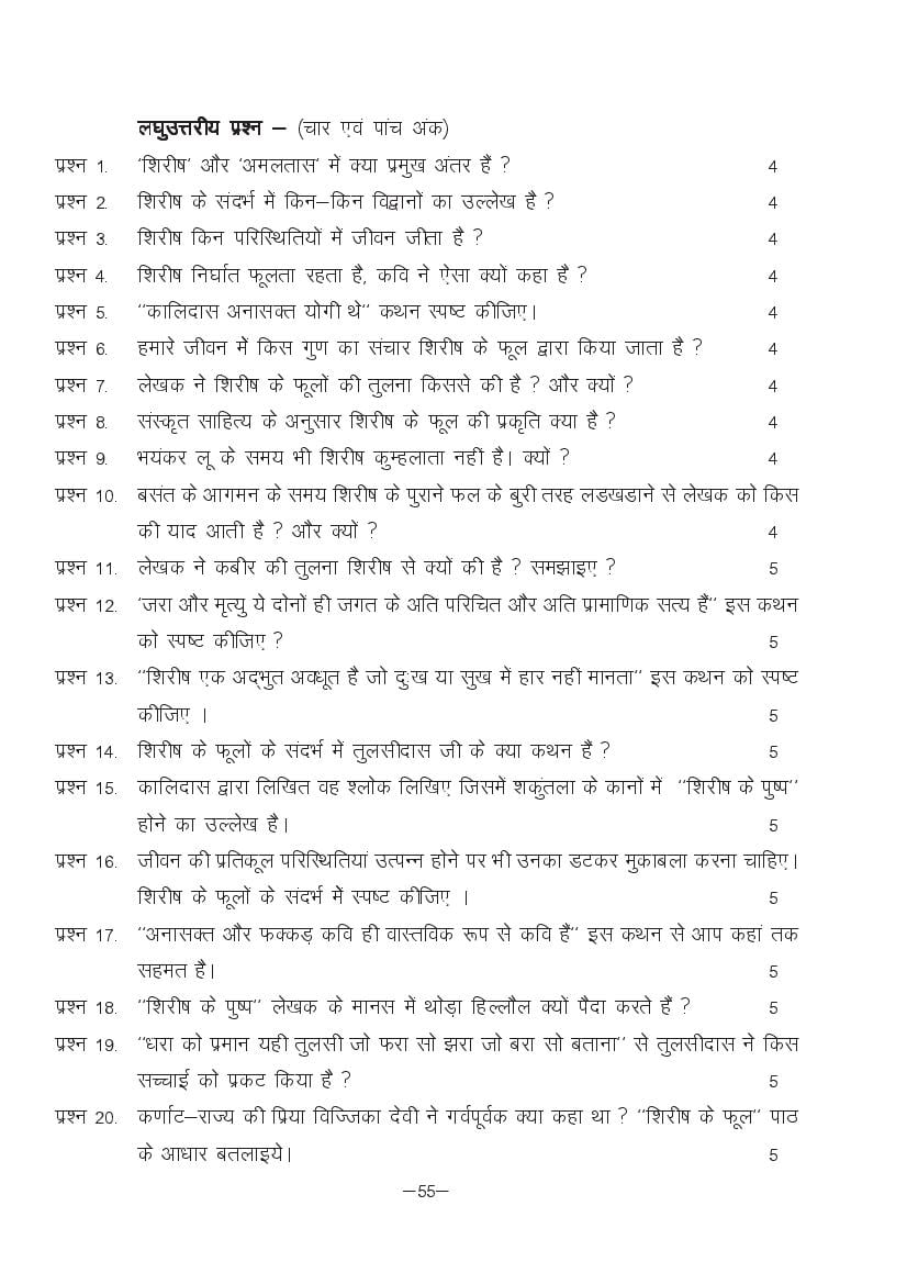 MP Board Class 11 Hindi (Special) Question Bank (PDF) – Important Questions