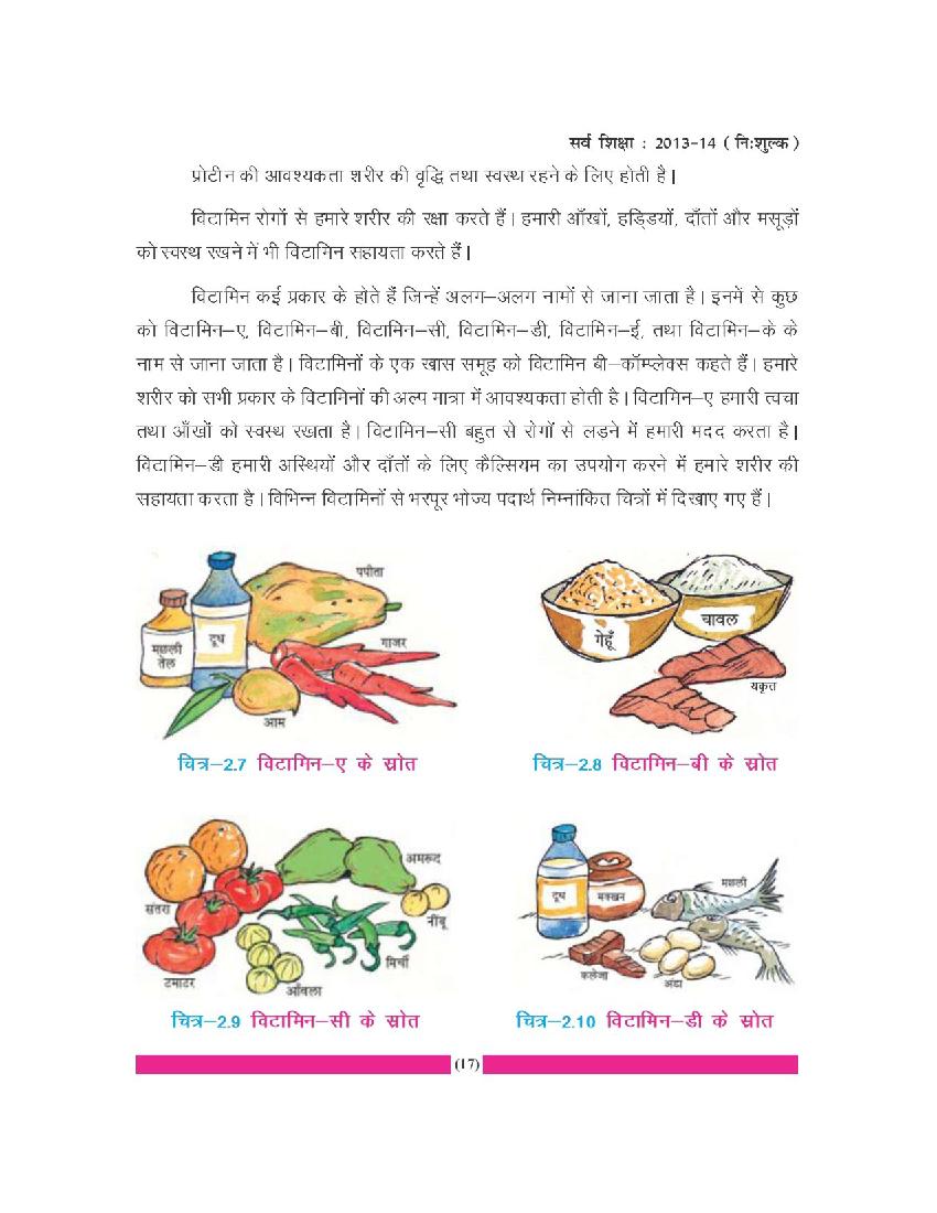 Bihar Board Book For Class 6 Science (PDF)