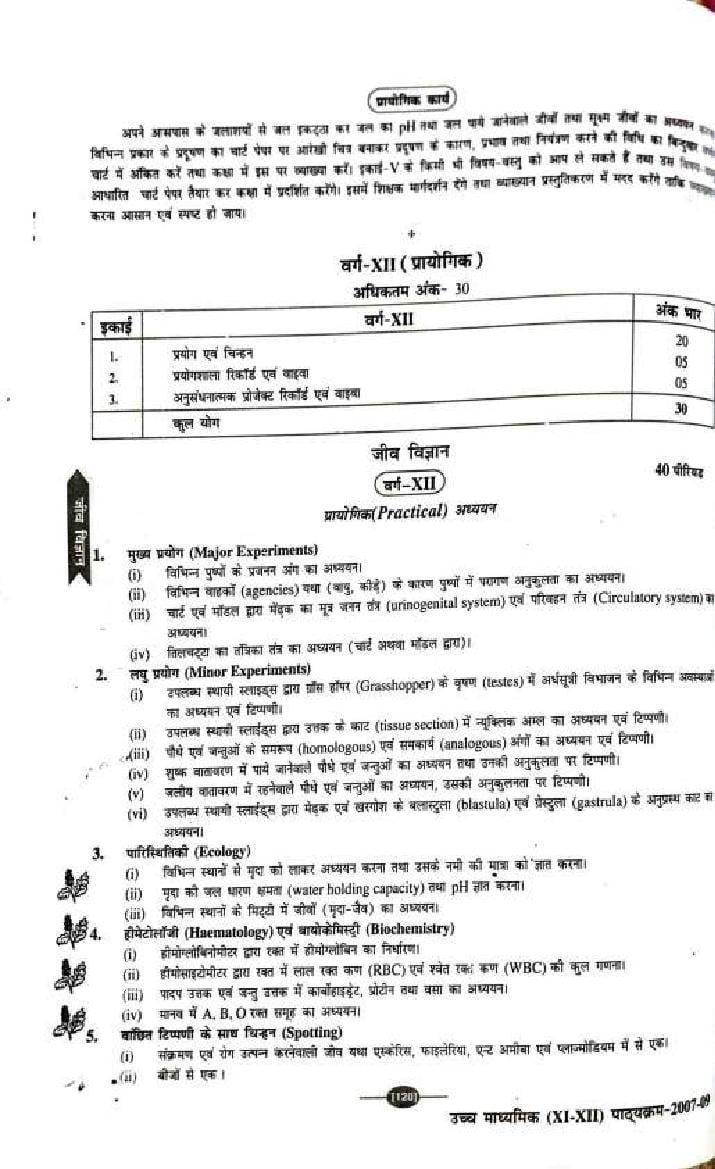 bihar board english grammar syllabus class 12 2025