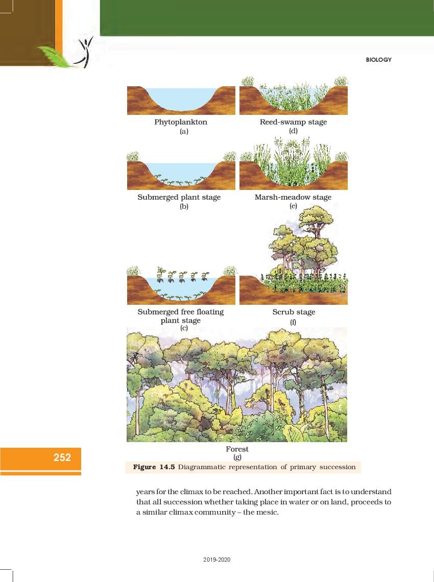 ncert-book-class-12-biology-chapter-14-ecosystem