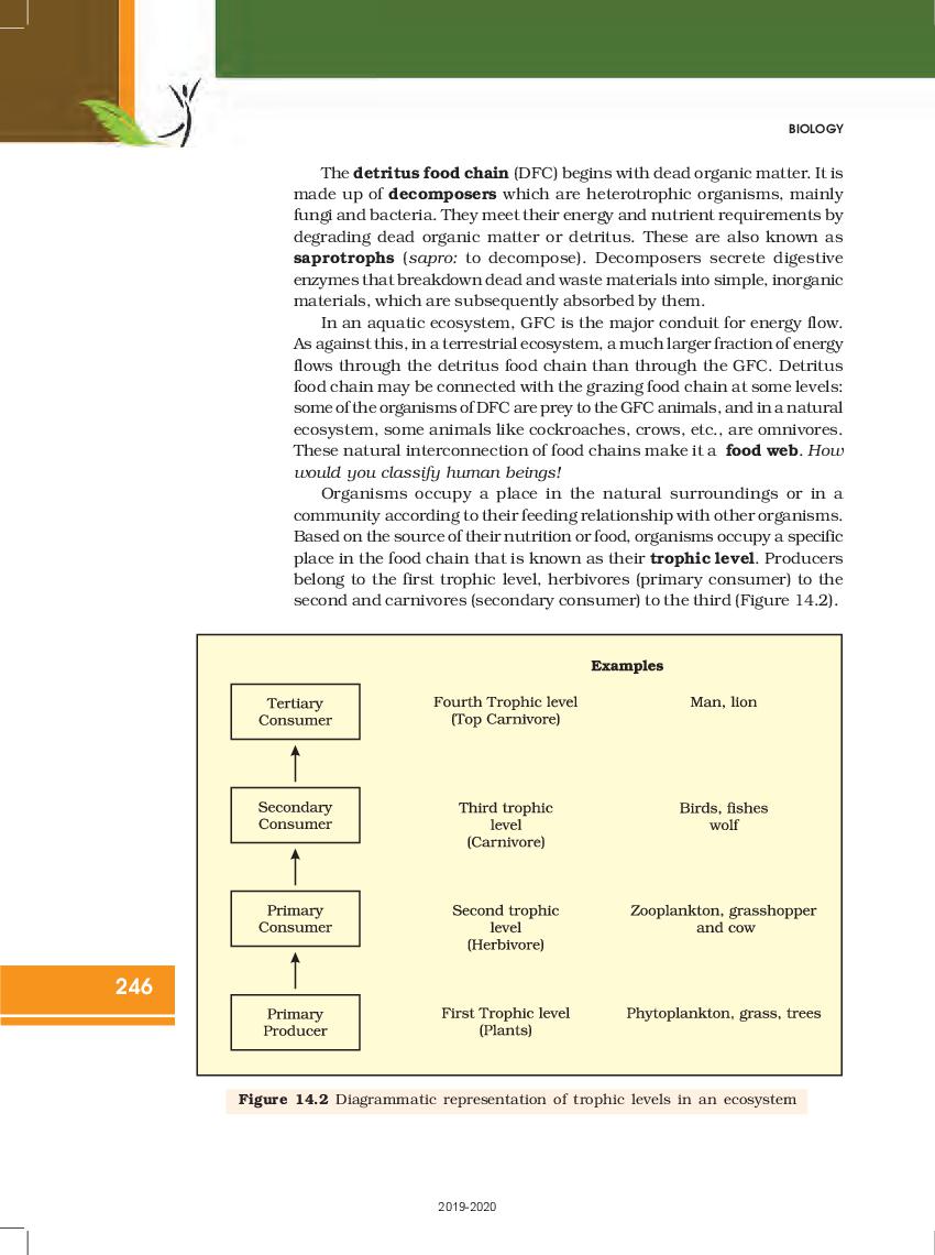 ncert-book-class-12-biology-chapter-14-ecosystem