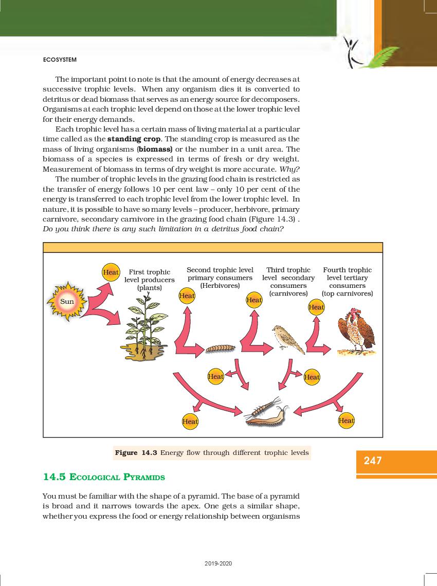 ncert-book-class-12-biology-chapter-14-ecosystem