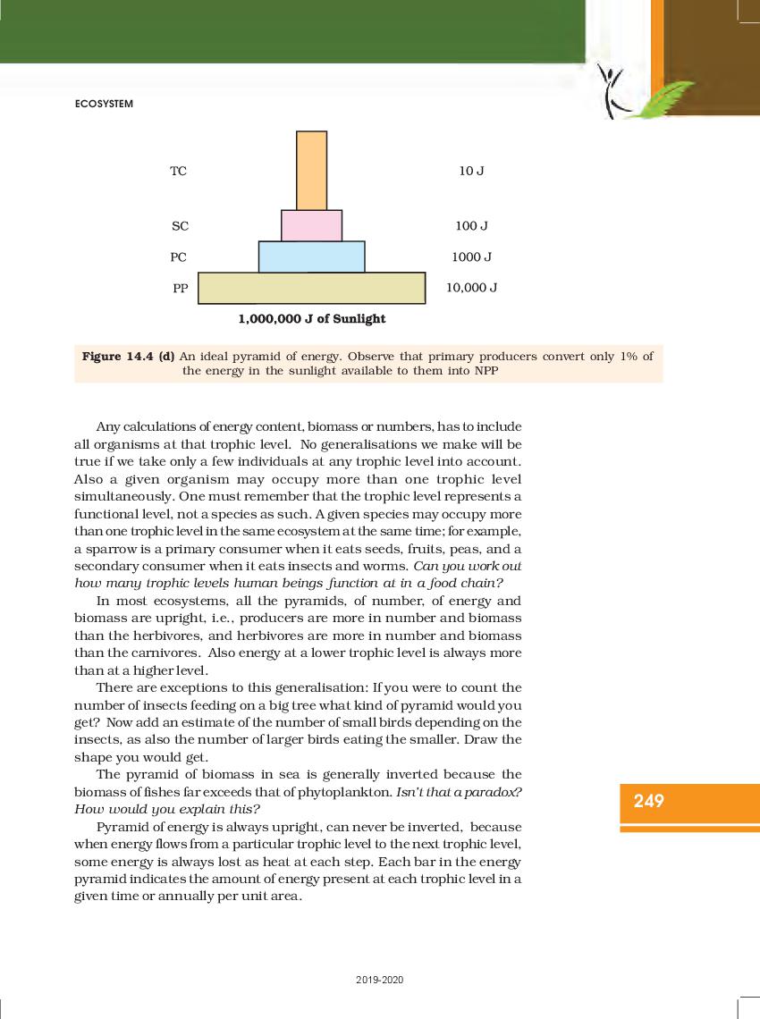 ncert-book-class-12-biology-chapter-14-ecosystem