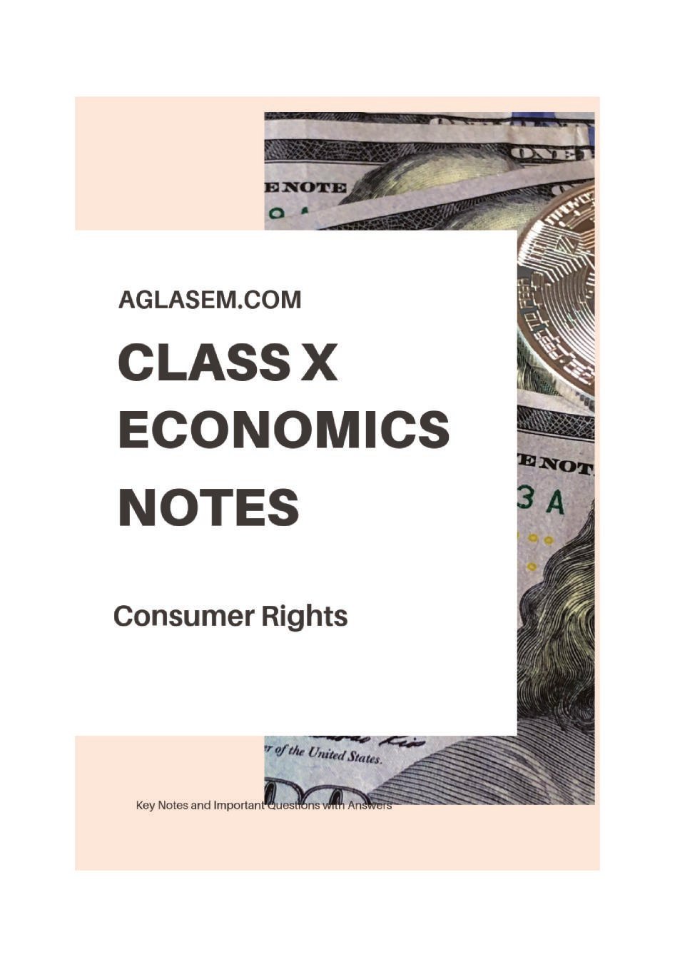 Class 10 Social Science Economics Notes for Consumer Rights - Page 1