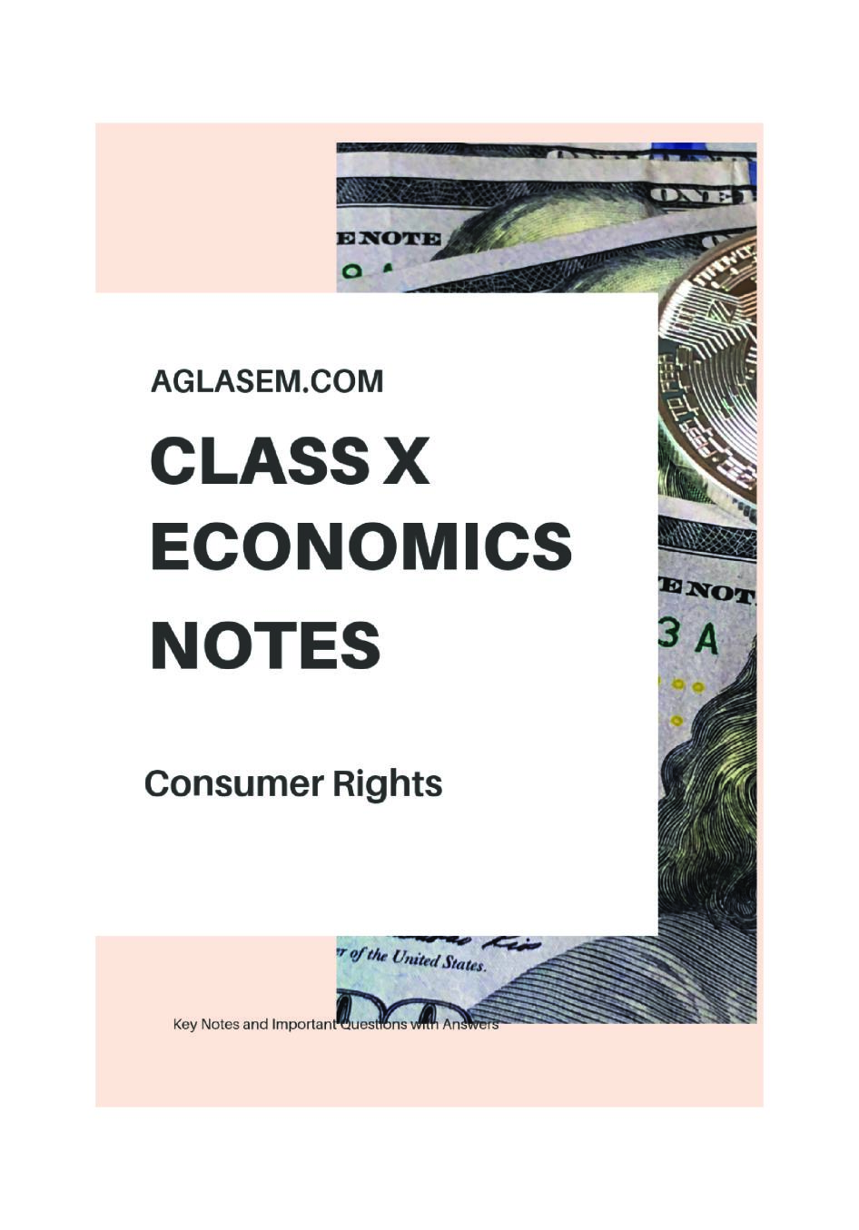 Class 10 Social Science Economics Notes for Consumer Rights - Page 1