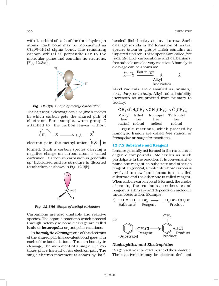 Some Basic Principles And Techniques Class 11 Notes Pdf Download