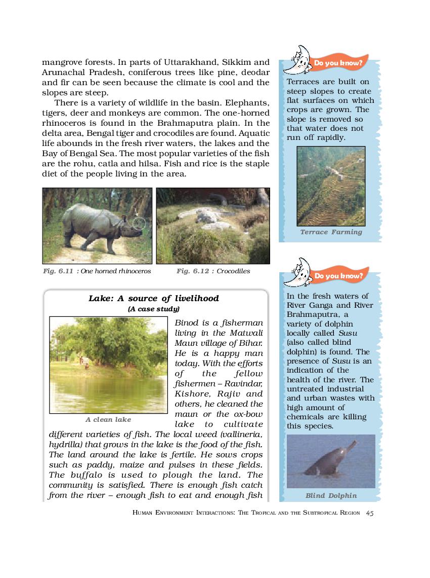 NCERT Book Class 7 Social Science (Geography) Chapter 6 Natural Vegetation and  Wildlife