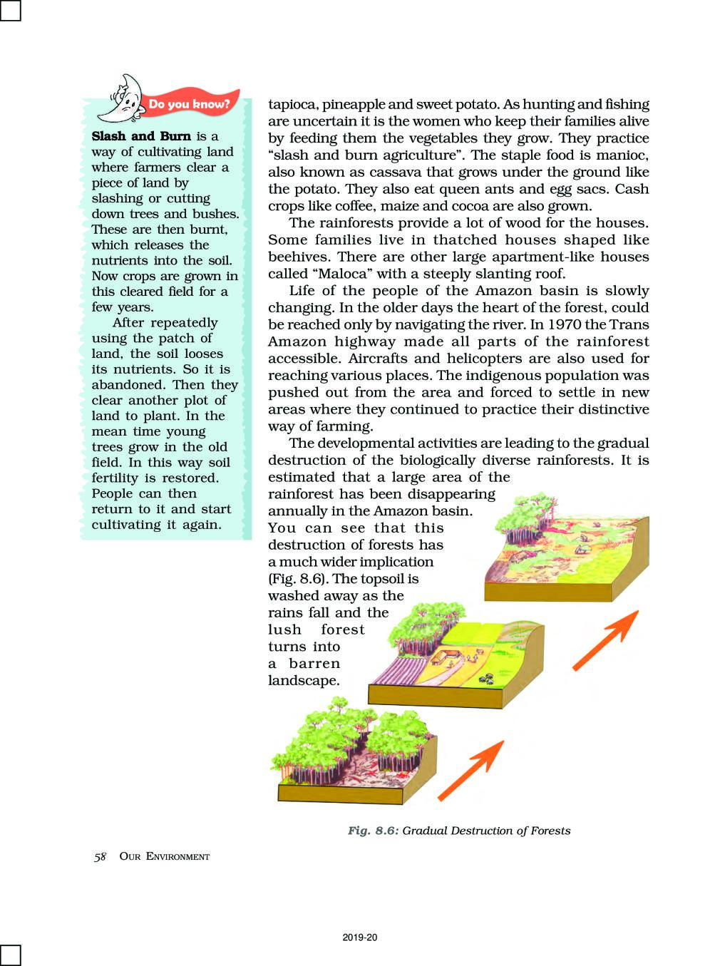 ncert-book-class-7-social-science-geography-chapter-8-human