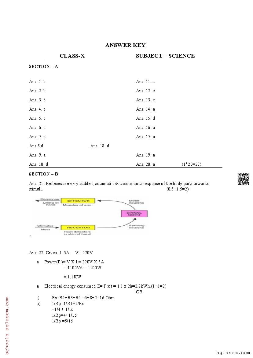 Class 10 Science Pre Board Sample Paper 2025 | Download Pre-Board Model ...