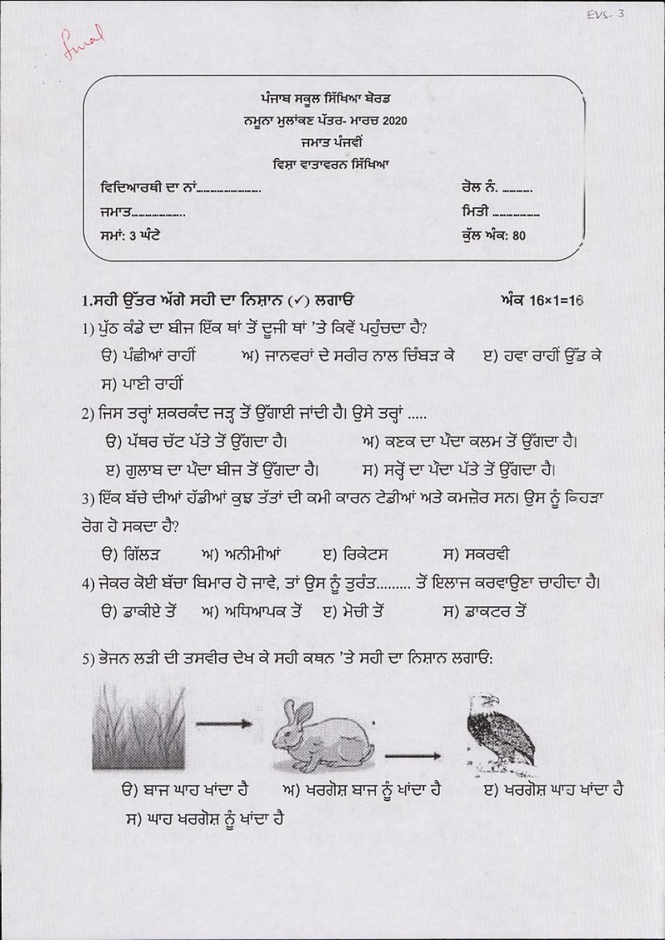 PSEB 5th Model Test Paper of EVS - Page 1