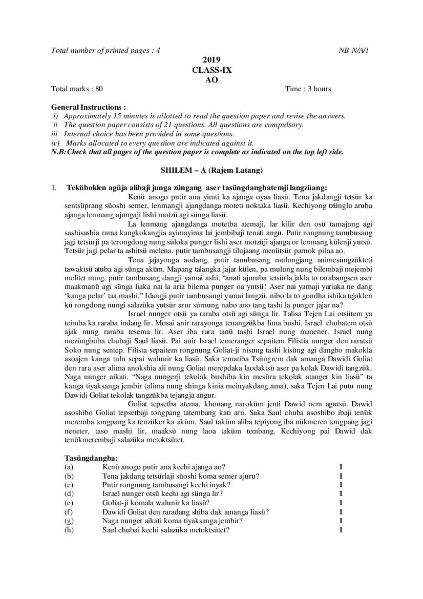 NBSE Class 9 Question Paper 2019 AO - Page 1