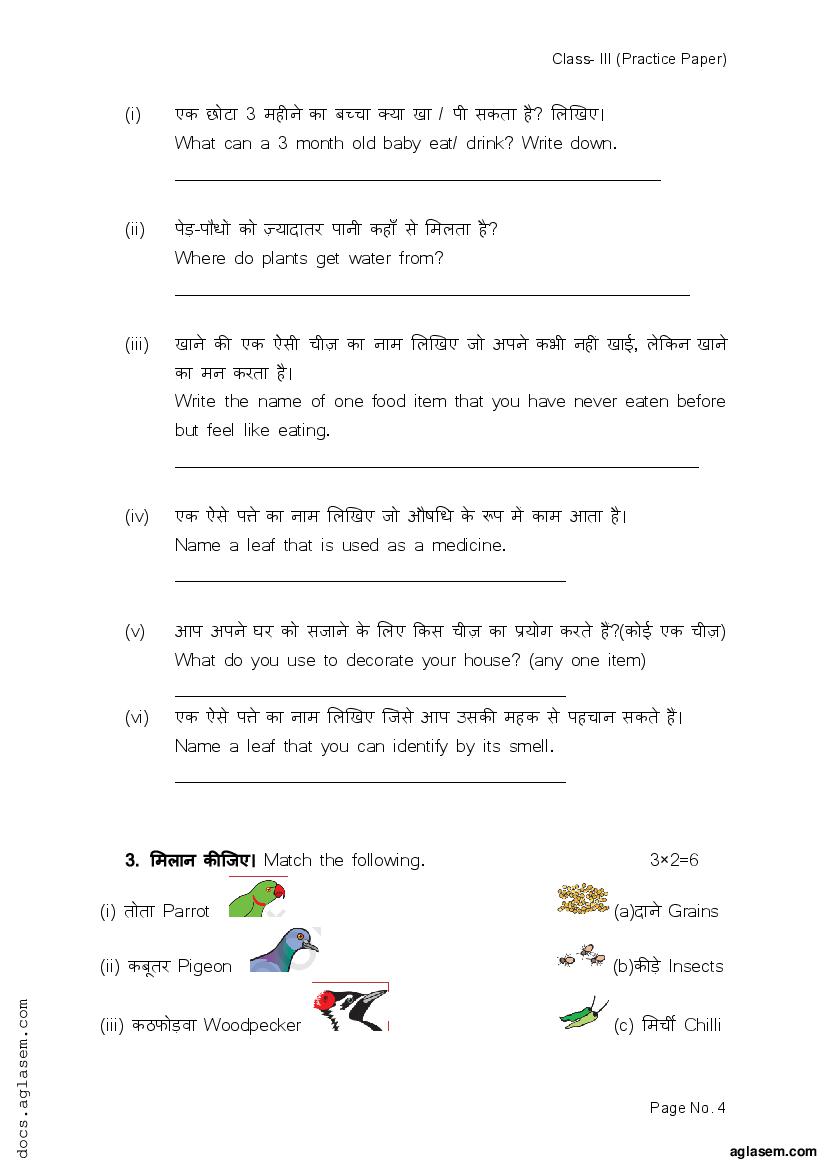 Class 3 EVS Model Paper 2024 PDF OneEdu24