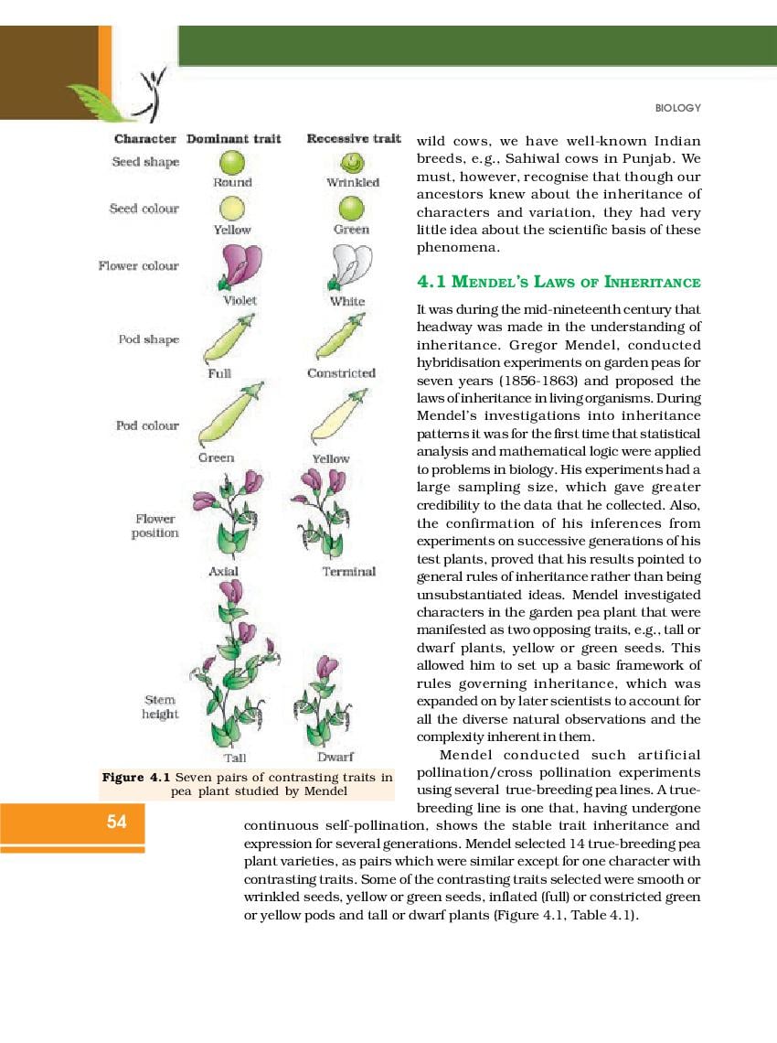 Rbse Book Class 12 Biology Chapter 4 Reproductive Health Hindi