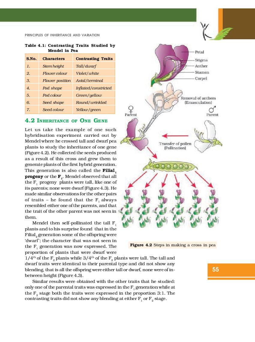 Rbse Book Class 12 Biology Chapter 4 Reproductive Health Hindi