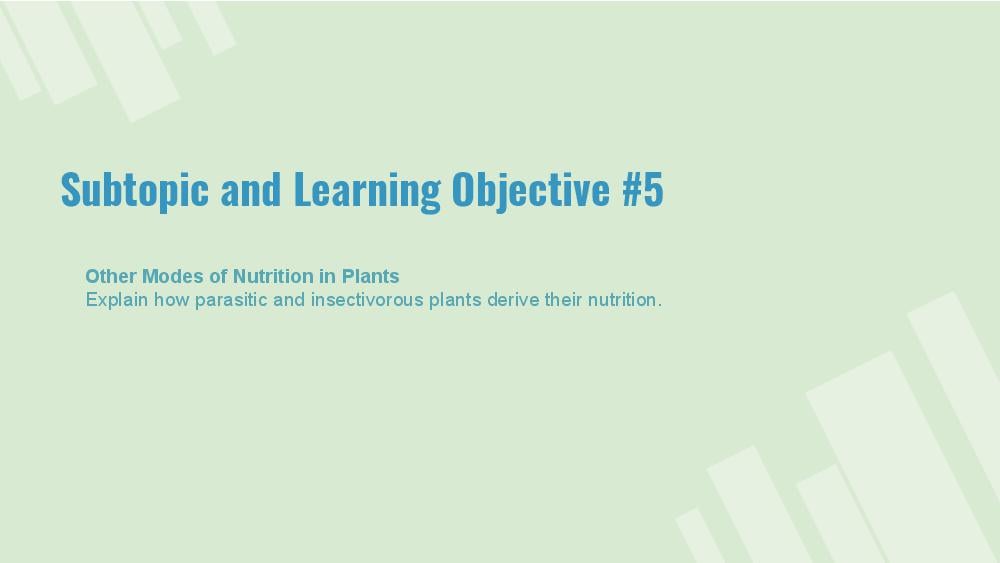 Teaching Material for Class 7 Biology – NCERT CBSE Handbook for Teachers
