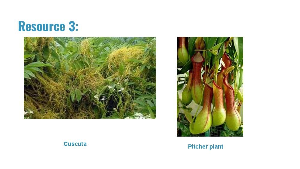 Teaching Material for Class 7 Biology – NCERT CBSE Handbook for Teachers