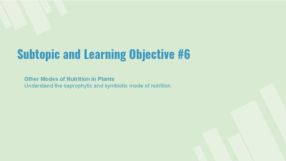 Teaching Material for Class 7 Biology – NCERT CBSE Handbook for Teachers