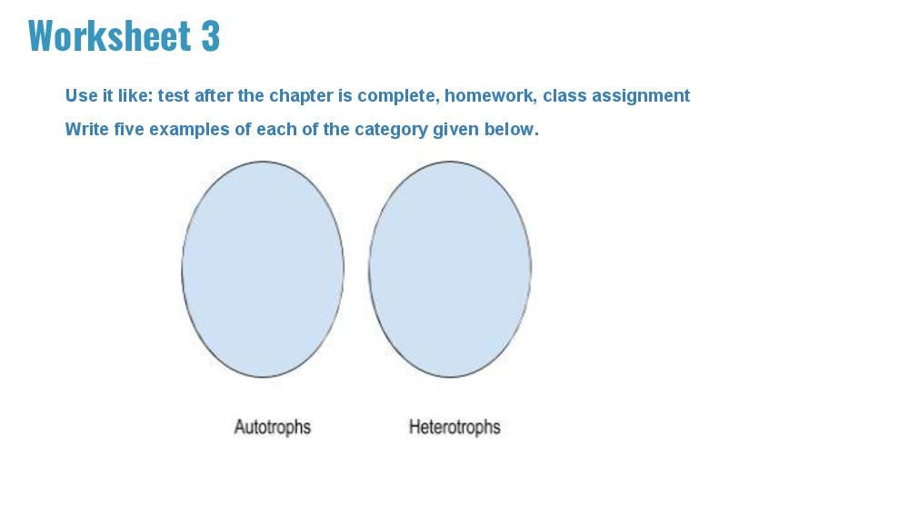 Teaching Material for Class 7 Biology – NCERT CBSE Handbook for Teachers