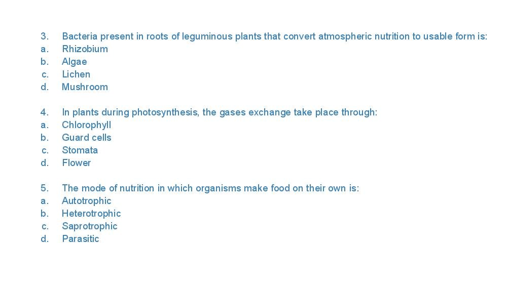 Teaching Material for Class 7 Biology – NCERT CBSE Handbook for Teachers