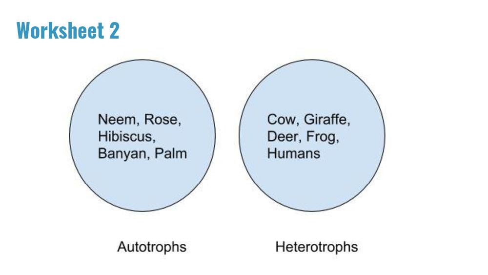 Teaching Material for Class 7 Biology – NCERT CBSE Handbook for Teachers