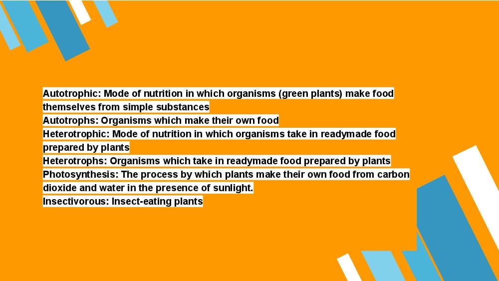 Teaching Material for Class 7 Biology – NCERT CBSE Handbook for Teachers