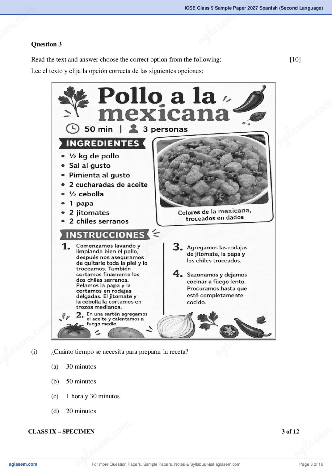 ICSE Class 9 Spanish (Second Language) Specimen Paper 2027 (PDF)
