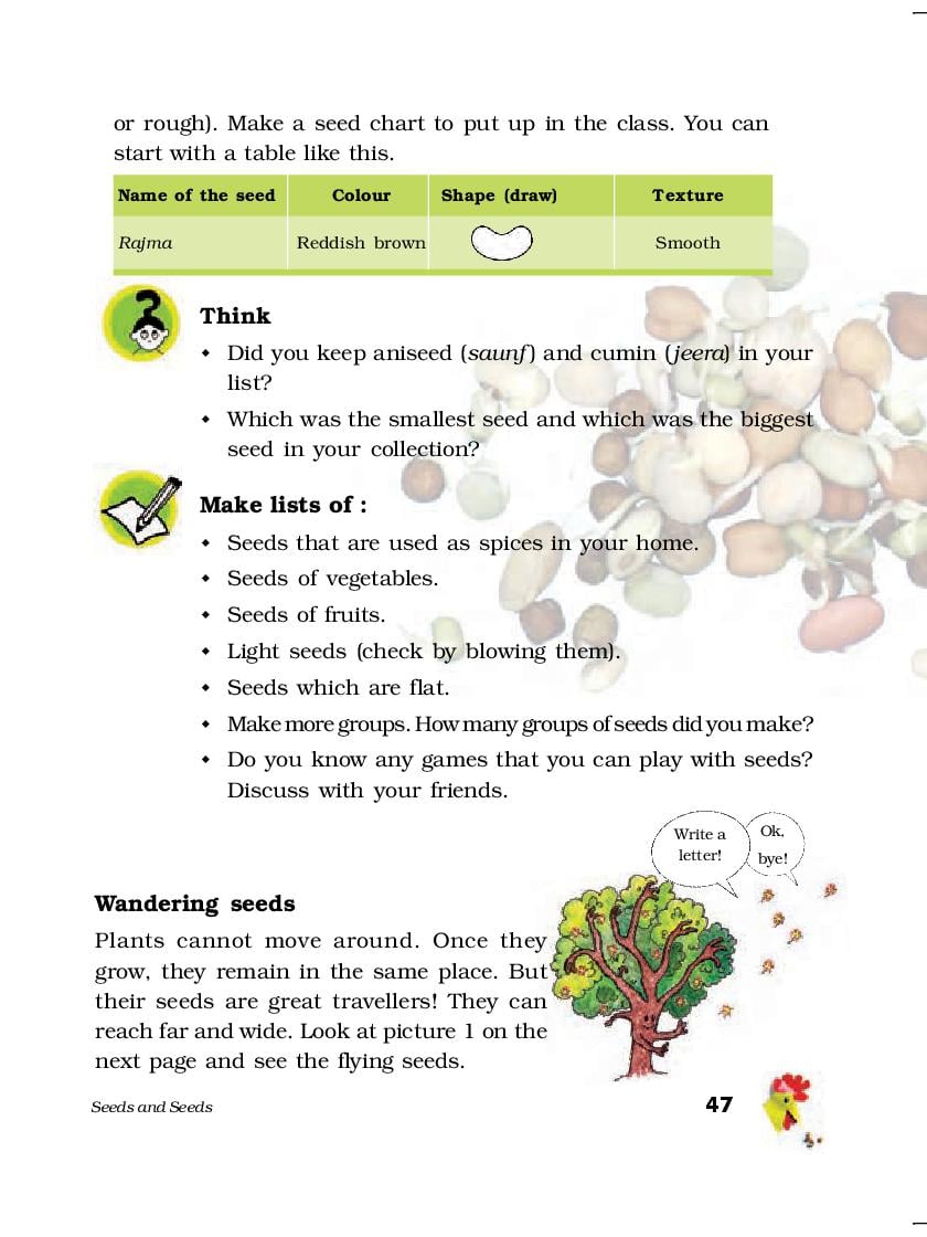 textbook support ncert class 5 evs