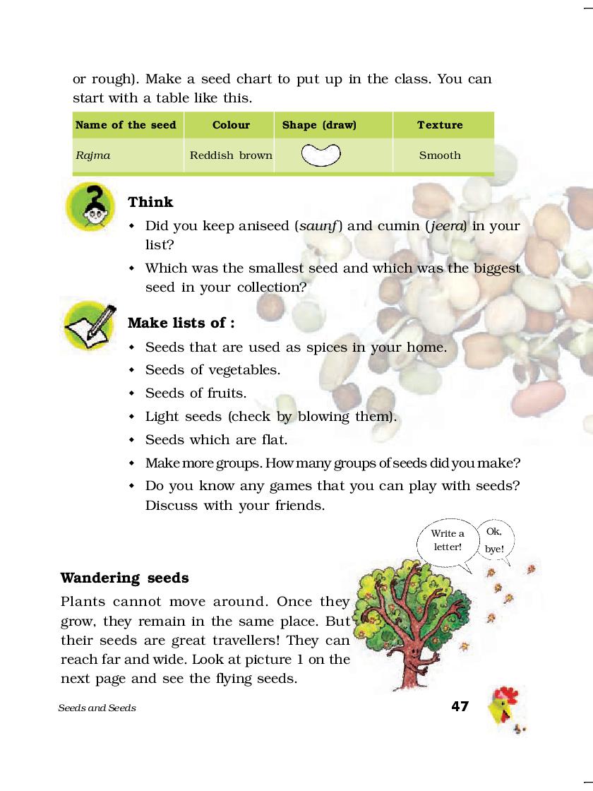 NCERT Book Class 5 EVS Chapter 5 Seeds And Seeds AglaSem Schools