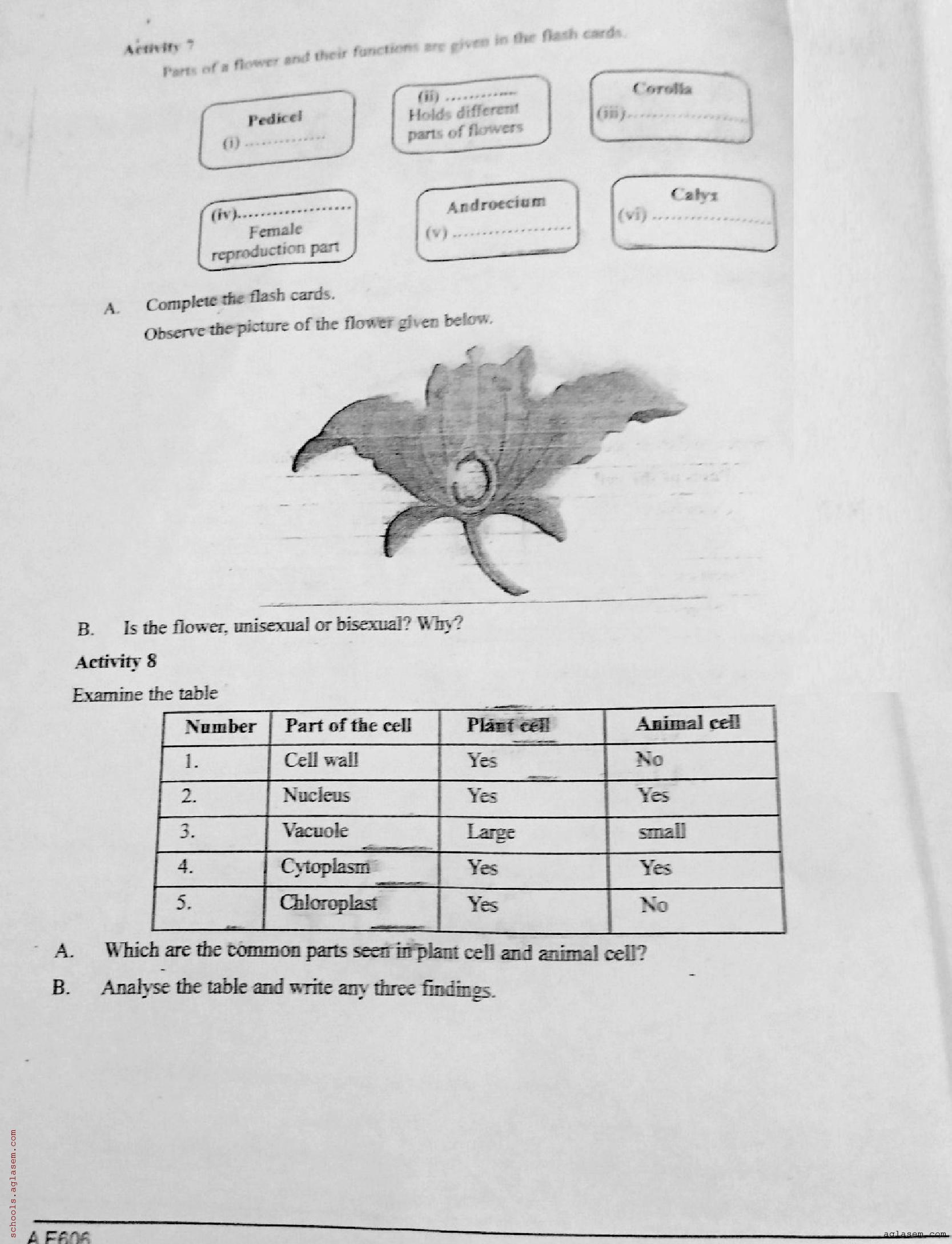 Class 6 Basic Science Onam Exam Question Paper 2024 (PDF) Kerala Std