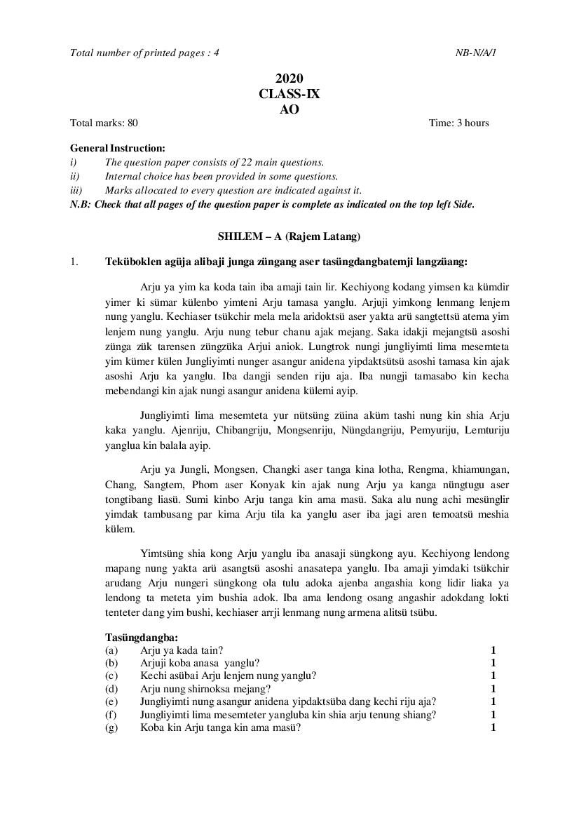 NBSE Class 9 Question Paper 2020 AO - Page 1