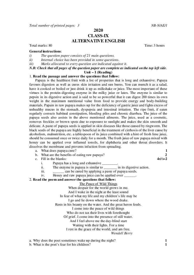 NBSE Class 9 Question Paper 2020 English Alternative - Page 1