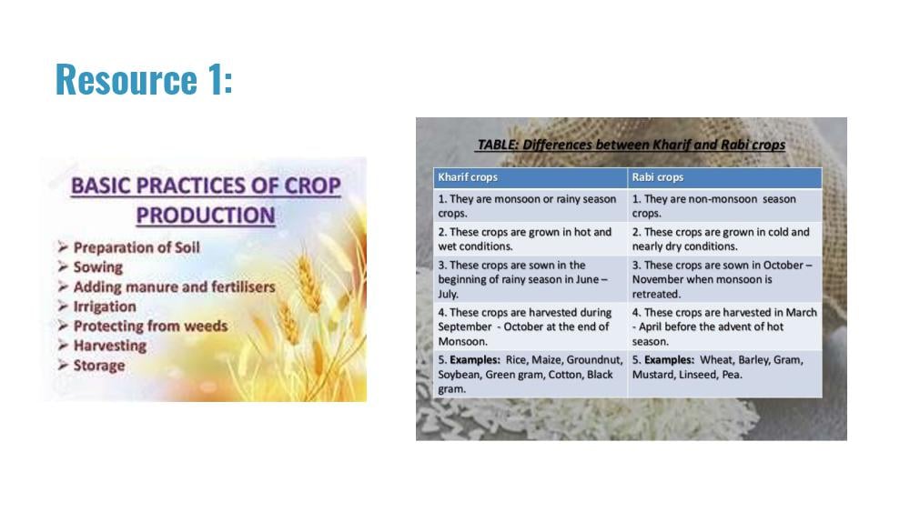 Teaching Material for Class 8 Biology – NCERT CBSE Handbook for Teachers