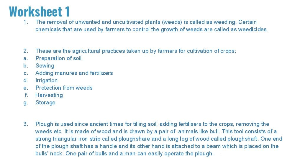 Teaching Material for Class 8 Biology – NCERT CBSE Handbook for Teachers